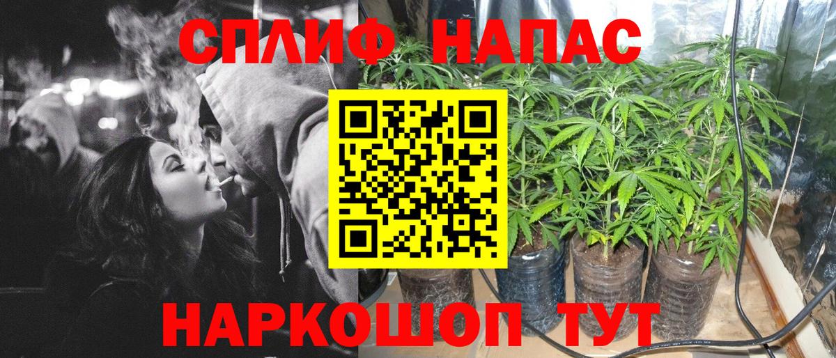 Конопля планчик Чистополь