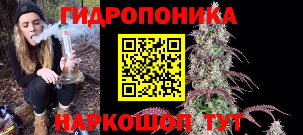 Чистополь  Шишки марихуана индика  Каннабис ГИДРОПОН  Вход с VPN  Бошки Шишки THC 21% 